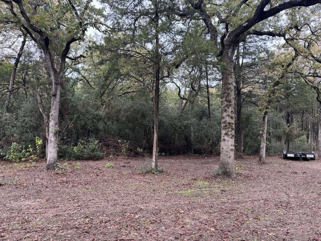 Project B before